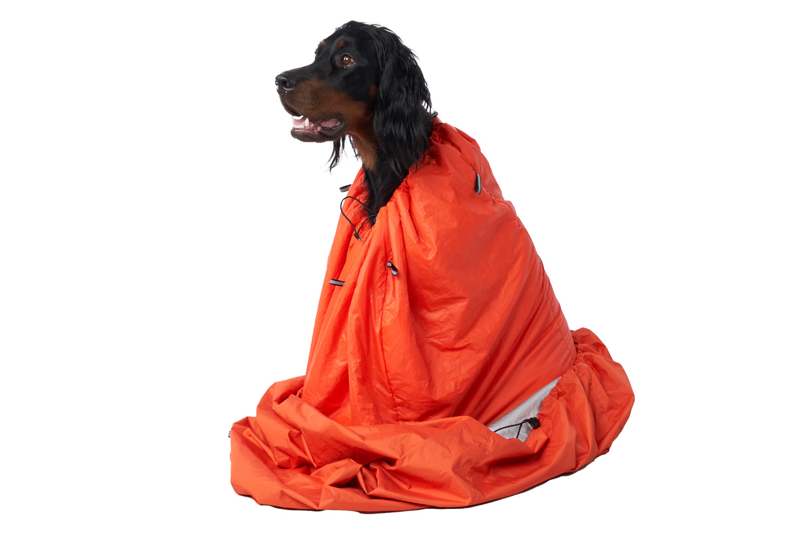 Protector bivvy bag (1)