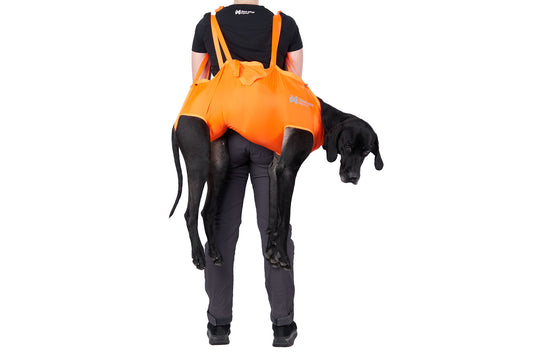 Dog rescue sling