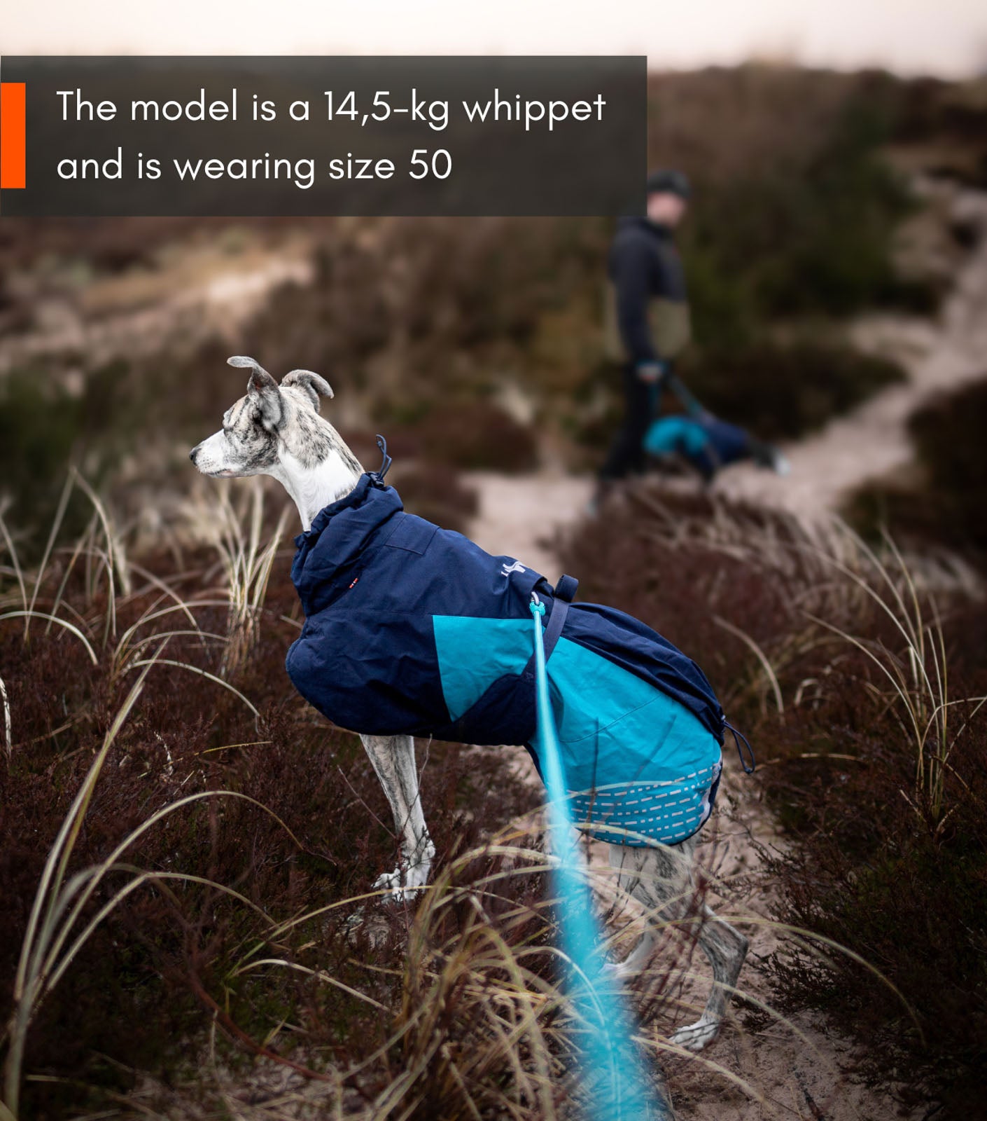 Glacier jacket 2.0 (5)