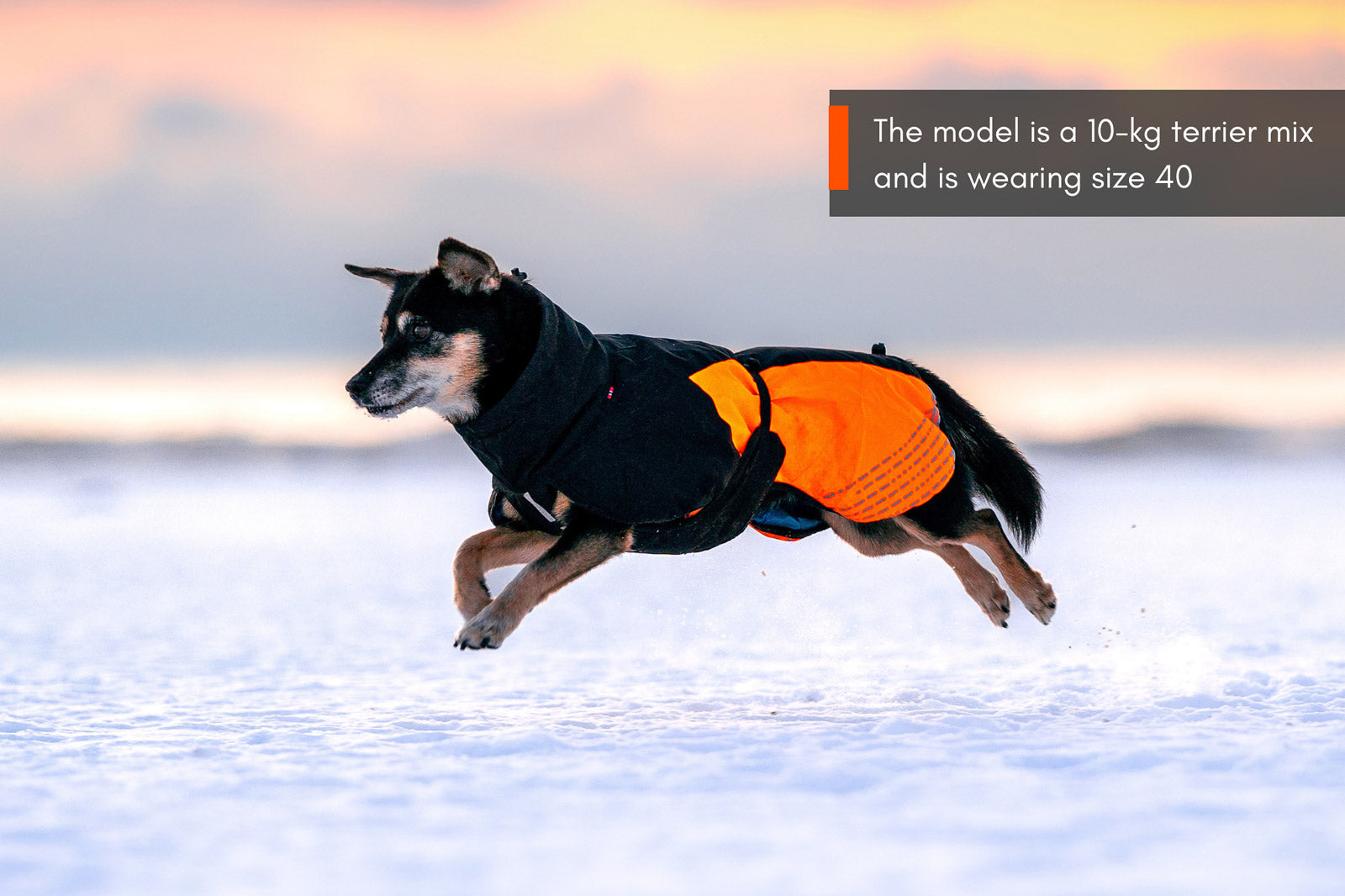 Glacier jacket 2.0 (4)