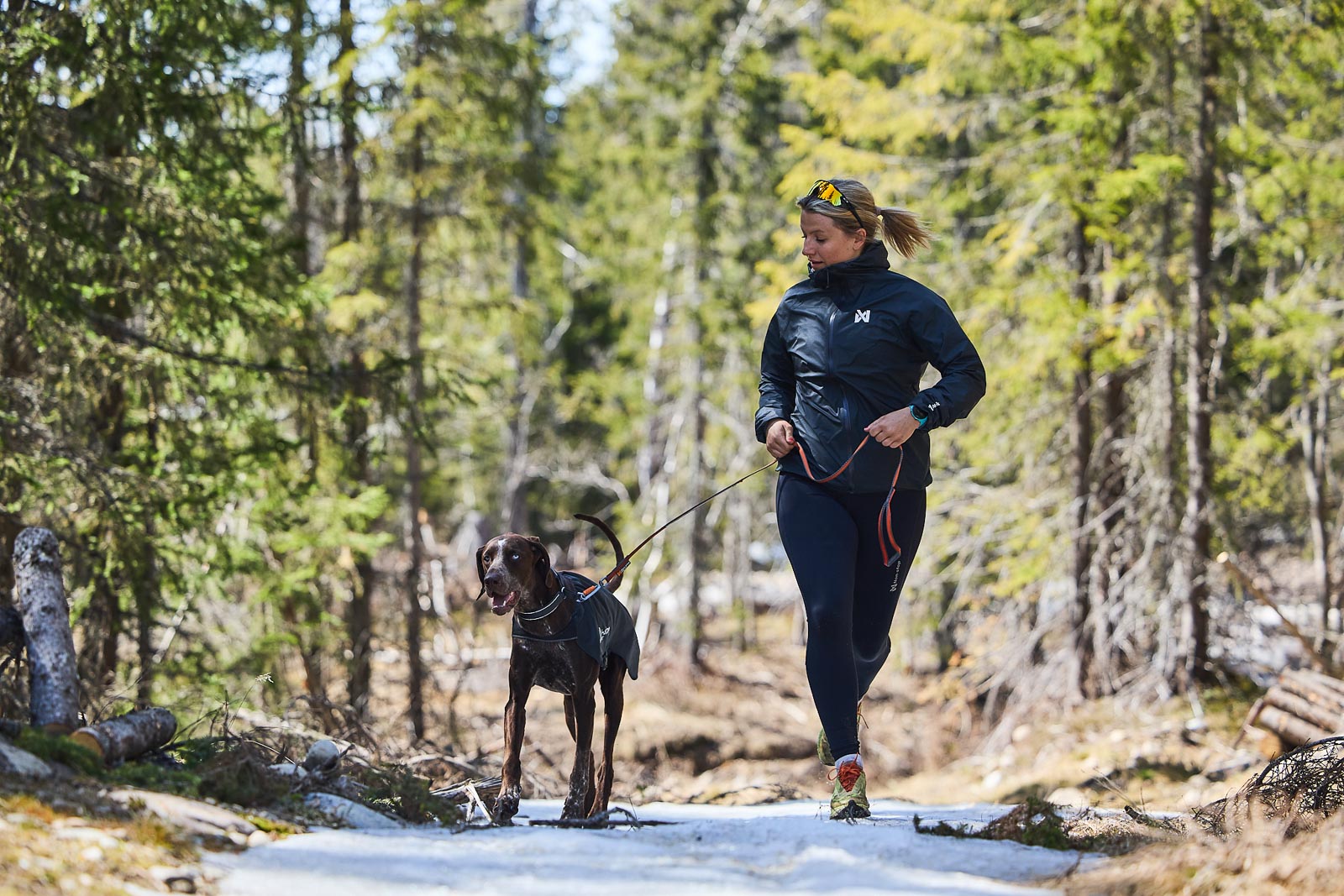 Trail light dog jacket (3)